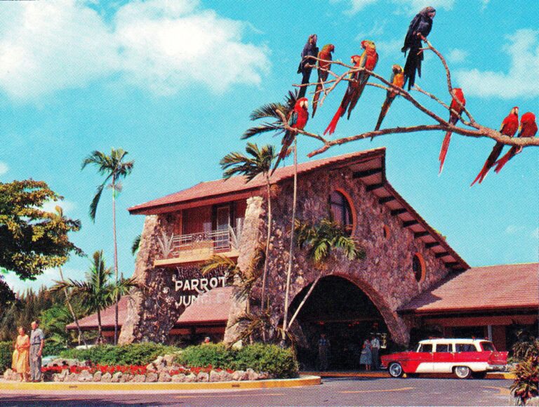 PINECREST HISTORY &ndash; FROM WILDERNESS TO VILLAGE