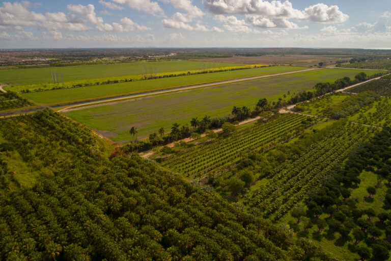 2025 MIAMI-DADE COUNTY LAND MARKET REPORT &ndash; WHY LAND IS THE FASTEST-APPRECIATING ASSET IN MIAMI