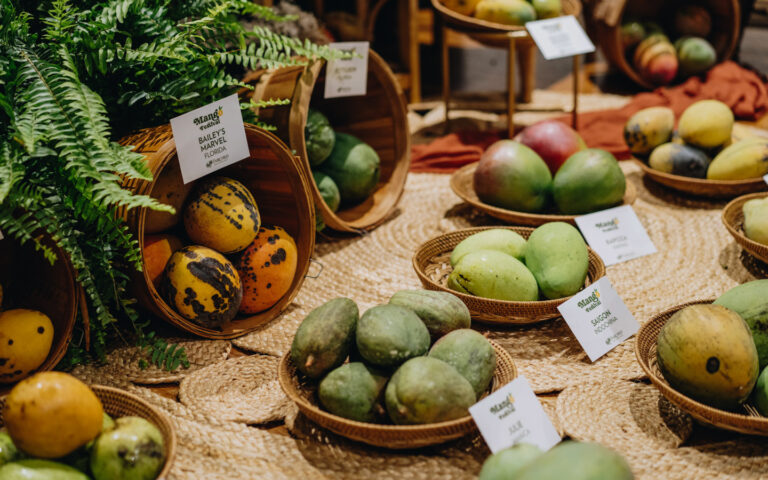 THE BEST COMMUNITY EVENTS IN PINECREST FOR FAMILIES & NEW RESIDENTS